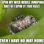 Spinning the web must be just right | I SPIN MY WEB WHILE JUMPING, BUT IF I SPIN IT TOO FAST, THEN I HAVE NO WAY HOME. | image tagged in misunderstood spider | made w/ Imgflip meme maker