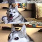Dog Joke | WAIT!!!! WE SHOULD GET MCDONALDS | image tagged in dog joke | made w/ Imgflip meme maker