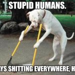 Hehe | STUPID HUMANS. ALWAYS SHITTING EVERYWHERE, HMPH! | image tagged in dog poop | made w/ Imgflip meme maker