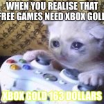 Sad Gamer Cat | WHEN YOU REALISE THAT FREE GAMES NEED XBOX GOLD; XBOX GOLD 163 DOLLARS | image tagged in sad gamer cat | made w/ Imgflip meme maker
