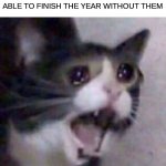 NOOOOOOOOOO | WHEN YOUR BEST FRIEND IS MOVING SCHOOLS AND YOU WONT BE ABLE TO FINISH THE YEAR WITHOUT THEM | image tagged in sad cat,sadge,smh,nooo why | made w/ Imgflip meme maker