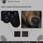 They kill dogs to make Playstations