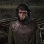 Andrew the Ape