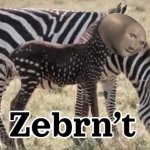 Zenbrnt