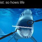 shark open mouth | dentist: so hows life
me:; hueahuahehaeuhaehuhhaeh | image tagged in shark open mouth | made w/ Imgflip meme maker