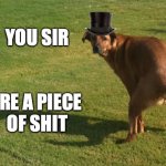 Dog Pooping | YOU SIR; ARE A PIECE 
OF SHIT | image tagged in dog pooping | made w/ Imgflip meme maker