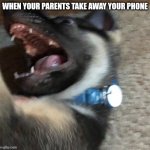 angy doggo | WHEN YOUR PARENTS TAKE AWAY YOUR PHONE | image tagged in angy doggo | made w/ Imgflip meme maker