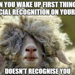 Bad facial recognition day! | WHEN YOU WAKE UP FIRST THING AND
THE FACIAL RECOGNITION ON YOUR PHONE; CheekyWitch.com; DOESN'T RECOGNISE YOU | image tagged in bad hair | made w/ Imgflip meme maker