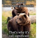 bear | If u in a relationship one of y’all better have good credit. That’s why it’s call significant other( Sign-if-I-Can’t) | image tagged in bear | made w/ Imgflip meme maker