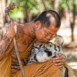 Monk & Tiger