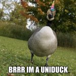 uniduck | BRRR IM A UNIDUCK | image tagged in unimpressed duck,omg karen,unicorn,uniduck | made w/ Imgflip meme maker