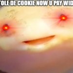 Axolotl has been desturbed | YOU STOLE DE COOKIE NOW U PAY WID UR LIFE | image tagged in axolotl has been desturbed | made w/ Imgflip meme maker