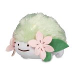 Ditto Shaymin