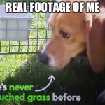 I may not be a "he", but still accurate | REAL FOOTAGE OF ME | image tagged in he's never touched grass before | made w/ Imgflip meme maker