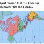 America duck