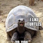 Smiling happy excited tortoise | I LIKE TURTLES; YO, YOU ARE A TURTLE | image tagged in smiling happy excited tortoise | made w/ Imgflip meme maker
