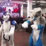 Furries Dancing GIF Template