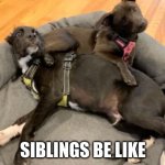 siblings... | SIBLINGS BE LIKE | image tagged in brothers and sisters be like | made w/ Imgflip meme maker