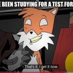 template tails | WHEN YOU'VE BEEN STUDYING FOR A TEST FOR A LONG TIME | image tagged in that's it i get it now | made w/ Imgflip meme maker