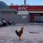 Kfc rooster
