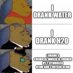 requires a title | I DRANK WATER; I DRANK H2O; I DRANK A CHEMICAL WHICH IS FORMED BY 2 HYDROGEN ATOM AND 1 OXYGEN ATOM | image tagged in tuxedo winnie the pooh 3 panel,memes,funny,drinking,water | made w/ Imgflip meme maker