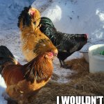 Brahmacan | IF ANIMALS HAD VOICES; I WOULDN'T USE SOCIAL MEDIA | image tagged in brahmacan | made w/ Imgflip meme maker