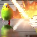 Epic Parrot GIF Template