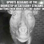 Pig staring at doorbell | UPVOTE BEGGARS AT THE DOORSTEP OF CATEGORY STREAMS; GETTING THEIR WAVES OF "LIKE=AGREE" IN | image tagged in pig staring at doorbell,upvote beggars | made w/ Imgflip meme maker