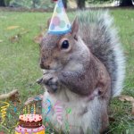 :) | TODAY IS MY IMGFLIP ACCOUNT'S BIRTHDAY | image tagged in memes,super birthday squirrel | made w/ Imgflip meme maker