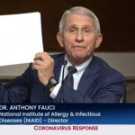 Fauci papers