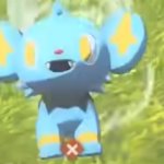 Shinx