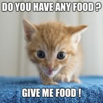 Kitten | DO YOU HAVE ANY FOOD ? GIVE ME FOOD ! | image tagged in kitten | made w/ Imgflip meme maker