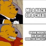 ha | ME A HACKER OR A CHEATER; DRINK MOUNTAIN DEW AND EAT DORITOS AND GET GOOD | image tagged in winnie the pooh meme | made w/ Imgflip meme maker