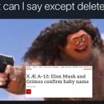 Lol | image tagged in maui pistol,elon musk,baby,grimes | made w/ Imgflip meme maker