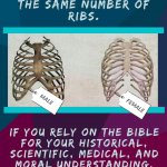 Men and women have the same number of ribs