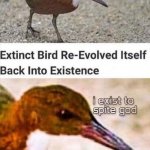Extinct bird meme