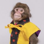 monkey journalist