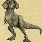 How my Dachshund sees herself