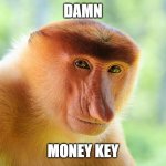 Monkemonke | DAMN; MONEY KEY | image tagged in nosacz monkey | made w/ Imgflip meme maker