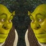 Shrek-Double-look