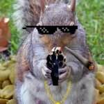 GET YO HANDS OFF!!! | YOU BETTA GET YO HANDS; OFF MY NUTS FOO | image tagged in funny squirrels with guns 5 | made w/ Imgflip meme maker