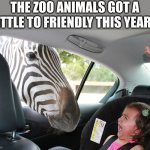 Zebra crossing | THE ZOO ANIMALS GOT A LITTLE TO FRIENDLY THIS YEAR... | image tagged in zebra - do you have a minute | made w/ Imgflip meme maker