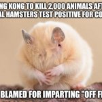 HONG KONG HAMSTER HANGUP | HONG KONG TO KILL 2,000 ANIMALS AFTER SEVERAL HAMSTERS TEST POSITIVE FOR COVID-19; VIRUS BLAMED FOR IMPARTING "OFF FLAVOR" | image tagged in hong kong hamster hangup,bad taste,hamster,hong kong,chinese food,guinea pig | made w/ Imgflip meme maker