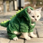 Godzilla cat