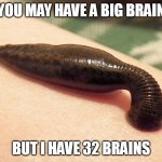 leech | YOU MAY HAVE A BIG BRAIN; BUT I HAVE 32 BRAINS | image tagged in leech sanguisuga,big brain,brains | made w/ Imgflip meme maker