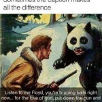 . meme
