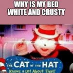 cat in the hat knows alot about that | WHY IS MY BED WHITE AND CRUSTY | image tagged in cat in the hat knows alot about that,funny more,more funny,cool story bro | made w/ Imgflip meme maker