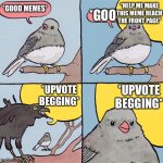 Seriously | *GOOD MEMES* *GOO “HELP ME MAKE THIS MEME REACH THE FRONT PAGE” *UPVOTE BEGGING* *UPVOTE BEGGING* | image tagged in interrupting bird | made w/ Imgflip meme maker