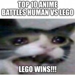 i hate when this is so true | TOP 10 ANIME BATTLES HUMAN VS LEGO; LEGO WINS!!! | image tagged in crying cat | made w/ Imgflip meme maker
