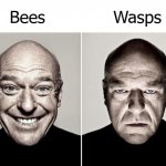 dean norris happy and not happy | Bees; Wasps | image tagged in dean norris happy and not happy | made w/ Imgflip meme maker